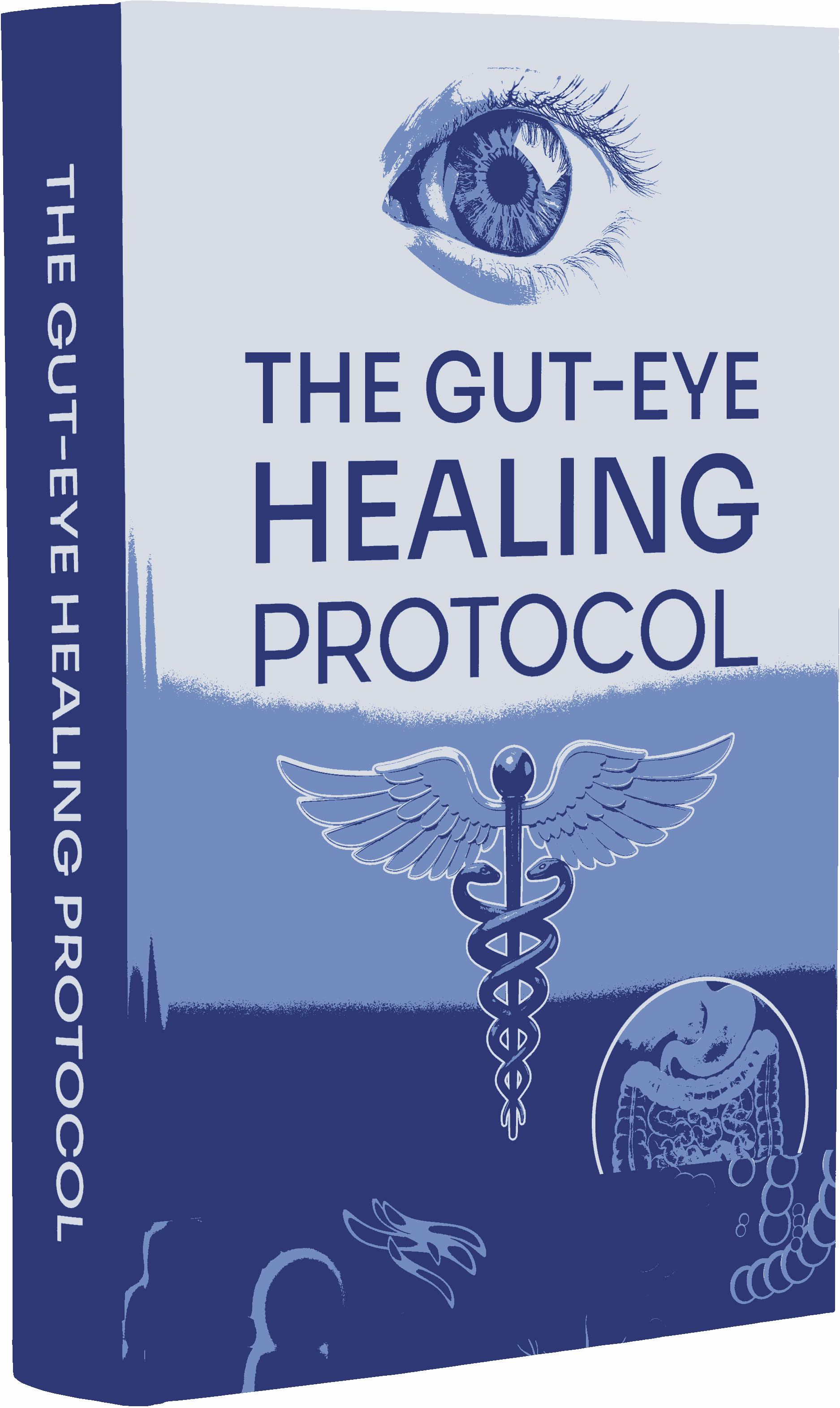 VisiFlora Bonus 2 - Gut Health Detox Guide